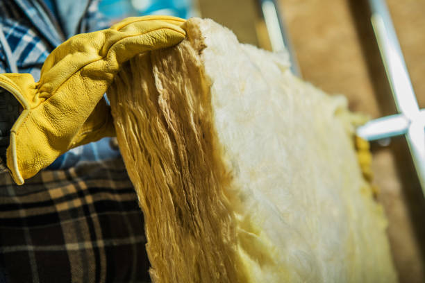 Best Energy-efficient Insulation  in Cottage Grove, MN