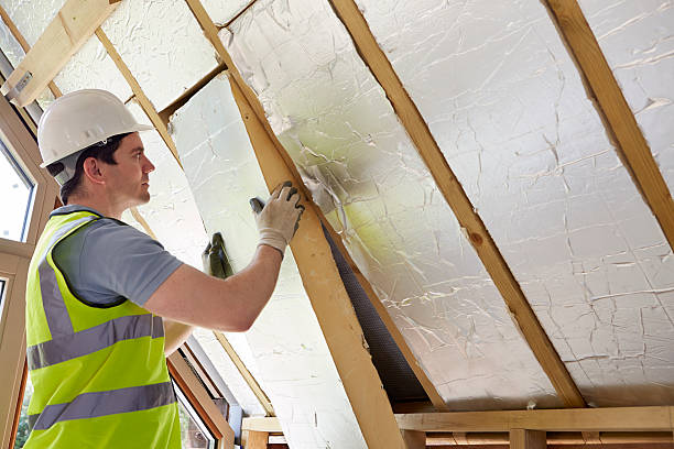 Insulation Replacement Services in Cottage Grove, MN