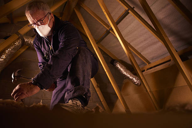 Best Insulation for New Construction  in Cottage Grove, MN